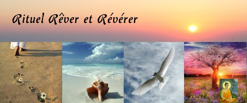 rever reverer