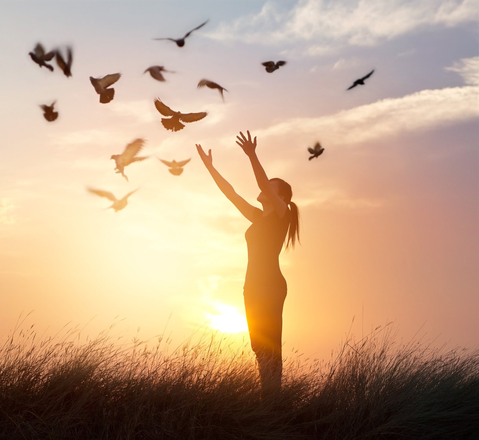 la libération des noeuds et blocages internes